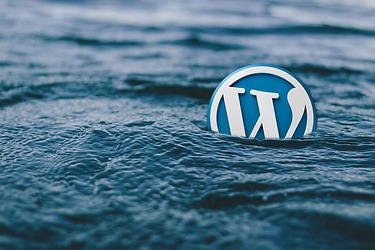 como saber si una web es wordpress