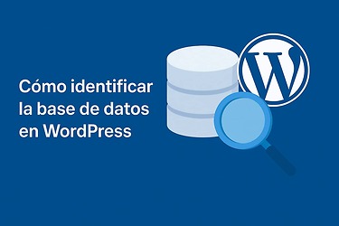 Cómo saber la base de datos de WordPress paso a paso