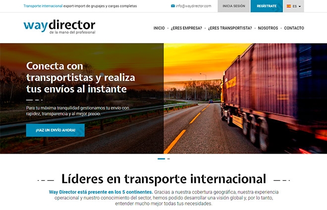 Way Director